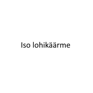iso lohikäärme