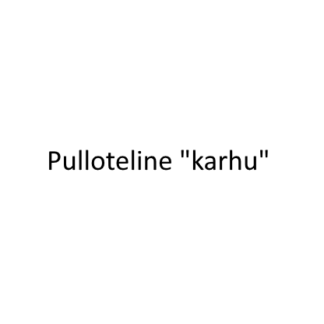 Pulloteline karhu